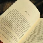 Lời tựa sách Nẻo về Bến Giác giới thiệu nội dung và giá trị tác phẩm