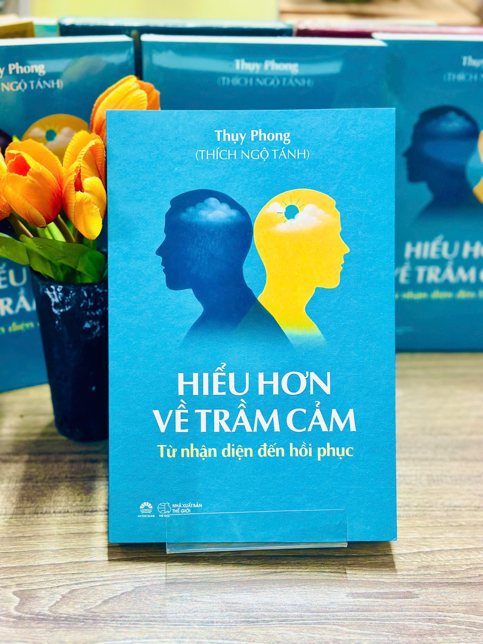 Sách Hiểu hơn về trầm cảm – Thụy Phong